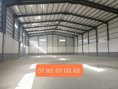 Location Hangar Blida Meftah