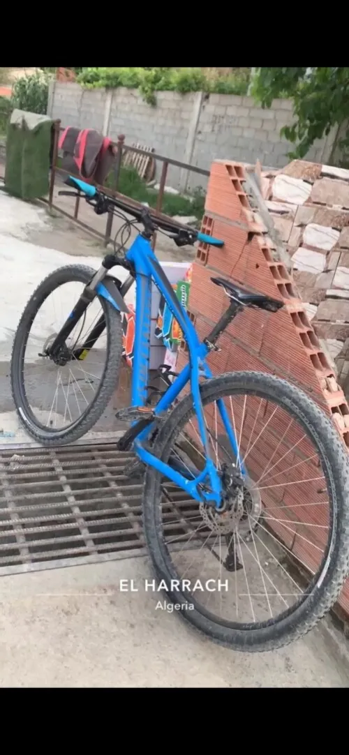 specialized Vélo 