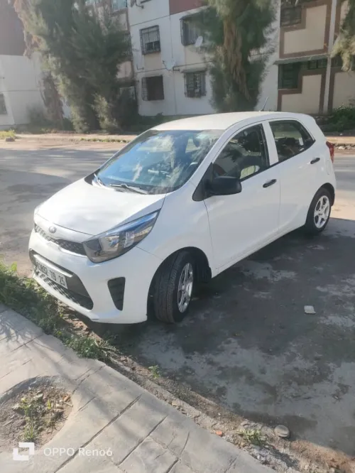 Kia Picanto 2019 Brazilia