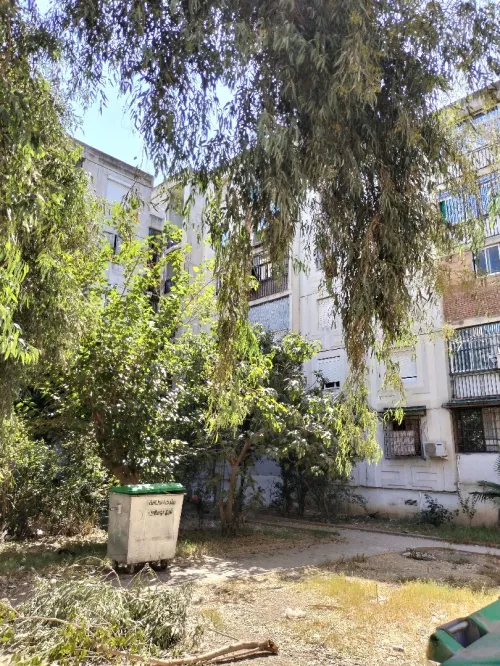 Location Appartement F3 Blida Boufarik