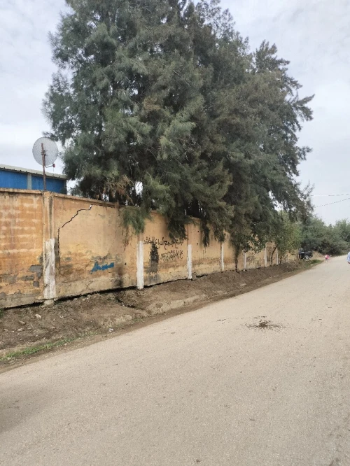 Vente Terrain Blida Bouinan