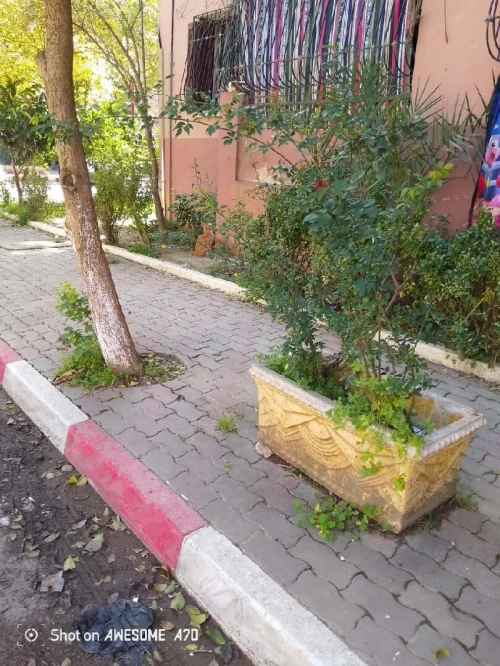 Vente Appartement F3 Blida Boufarik