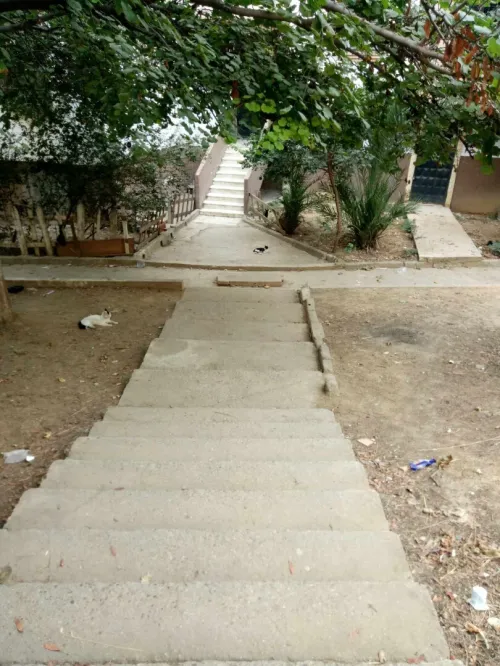 Location Appartement F3 Alger Ain naadja