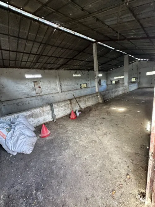 Location Hangar Alger Sidi moussa