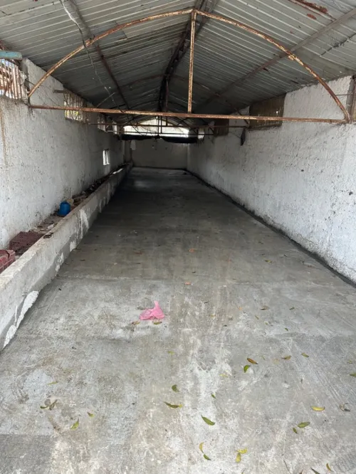 Location Hangar Alger Sidi moussa