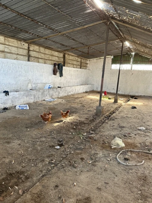 Location Hangar Alger Sidi moussa