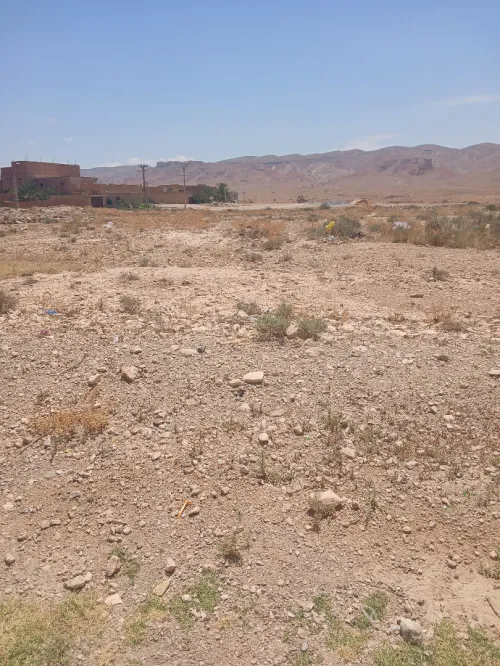 Vente Terrain Biskra El kantara 2