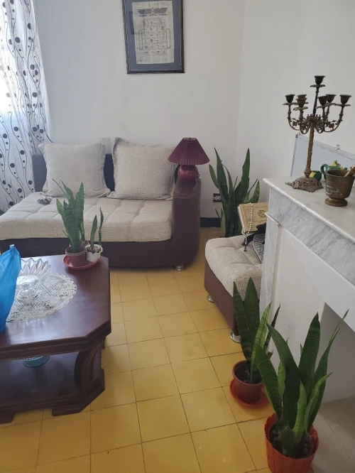 Vente Appartement F3 Annaba Annaba