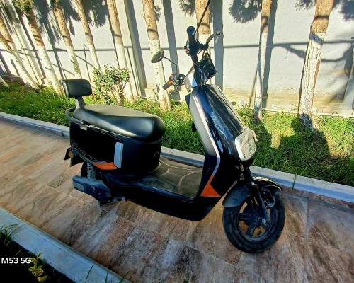 DORA Sport 2025