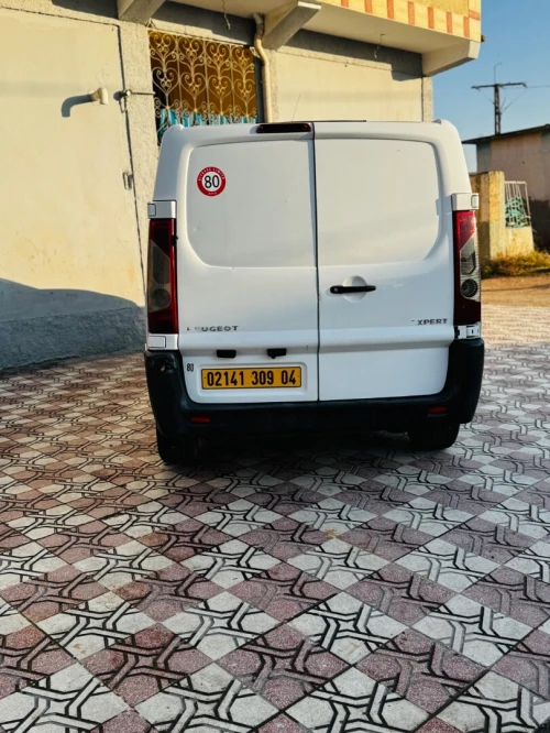 Peugeot Expert 2009 