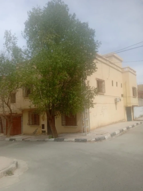Vente Appartement Saïda Saida