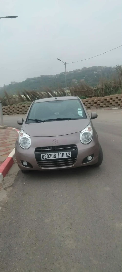 Suzuki Celerio 2010 Celerio