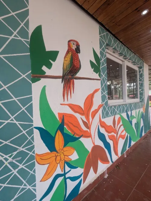 الرسم على الجدران dessin sur le mur