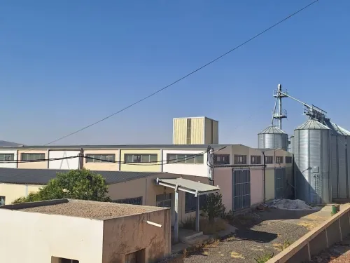 Vente Hangar Alger Staoueli