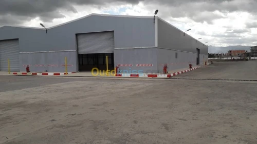 Cherche achat Hangar Alger Rouiba
