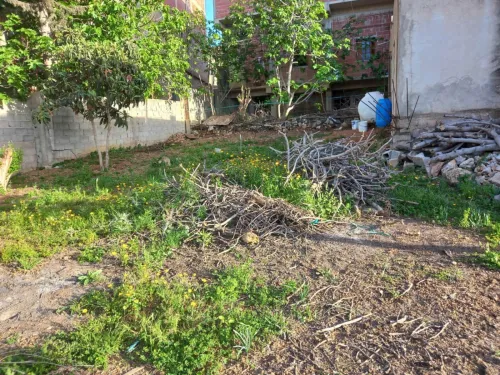 Vente Appartement Mila Mila