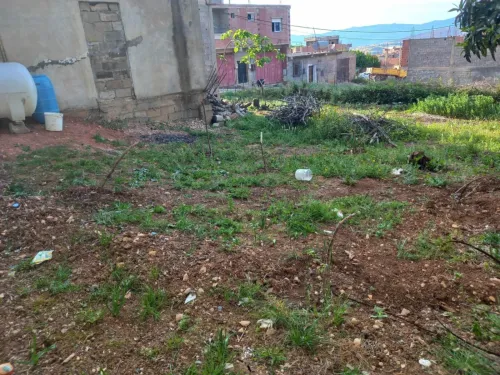 Vente Appartement Mila Mila