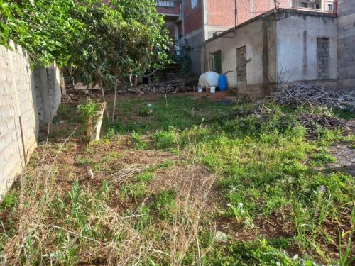 Vente Appartement Mila Mila