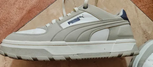 Puma caven