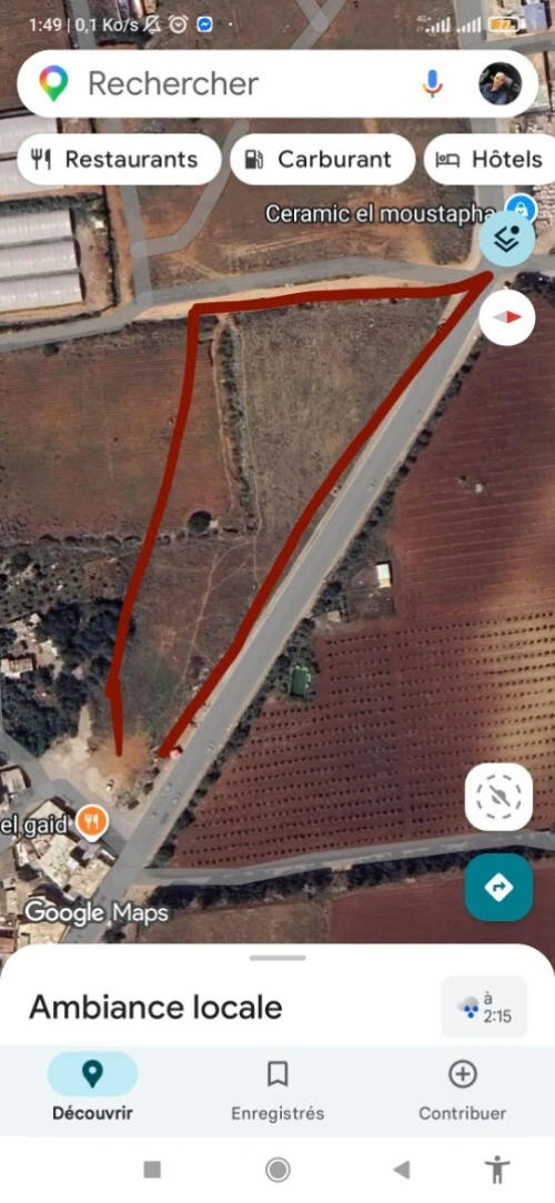 Vente Terrain Tipaza Bou ismail