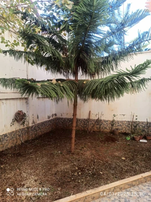 Vente Villa Tipaza Douaouda