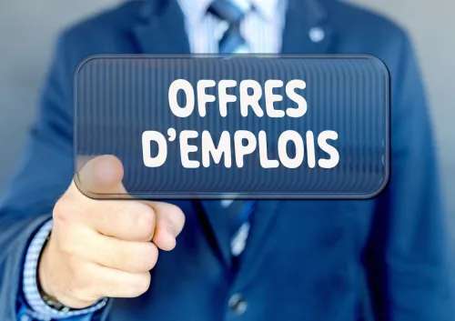 Offre d'emploi formateur el langues Allemande,Espagnol et Turque