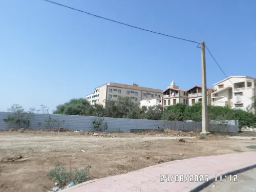 Vente Terrain Alger Staoueli