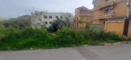 Vente Terrain Alger Baba hassen