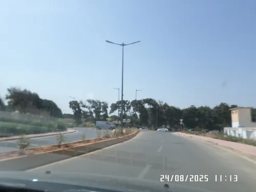 Vente Terrain Alger Staoueli