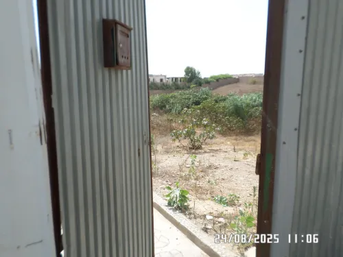 Vente Terrain Alger Staoueli