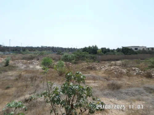 Vente Terrain Alger Staoueli