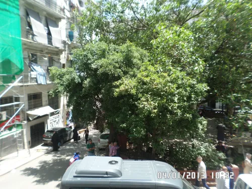 Vente Appartement Studio Alger Alger centre