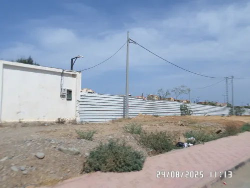 Vente Terrain Alger Staoueli