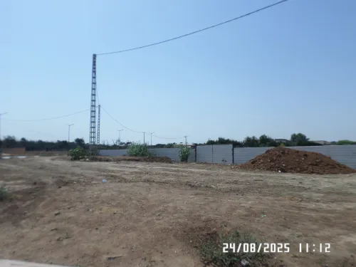 Vente Terrain Alger Staoueli