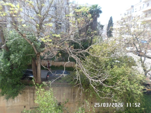 Vente Appartement F3 Alger Said hamdine
