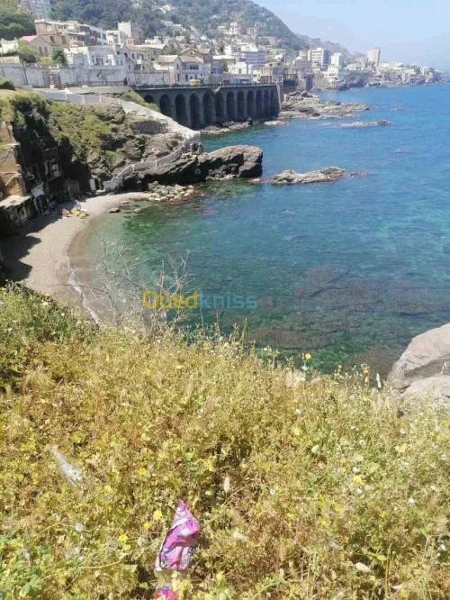 Location vacances Studio Alger Bologhine