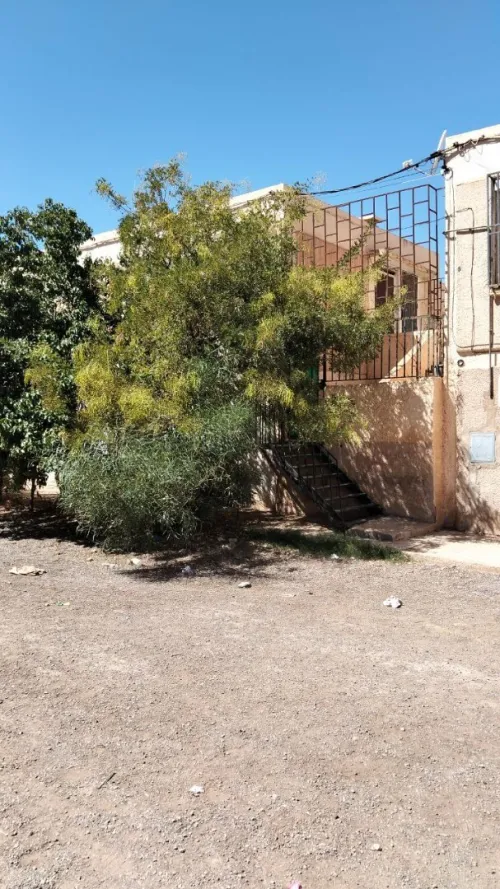 Vente Appartement F3 Saïda Saida