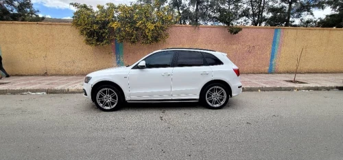Audi Q5 2011 S Line Pack Tech