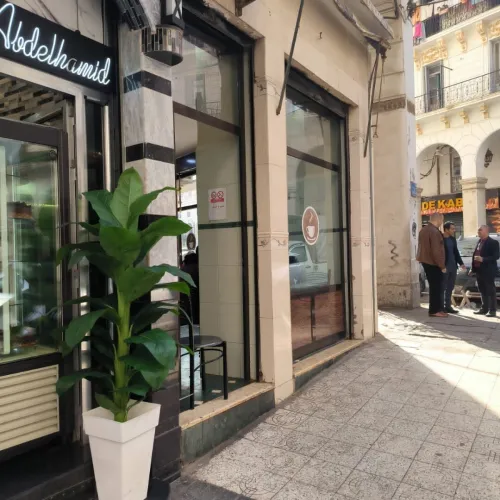 Vente Local Alger Bab el oued