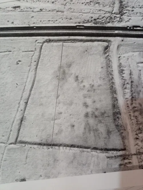 Vente Terrain Agricole Ouargla Rouissat