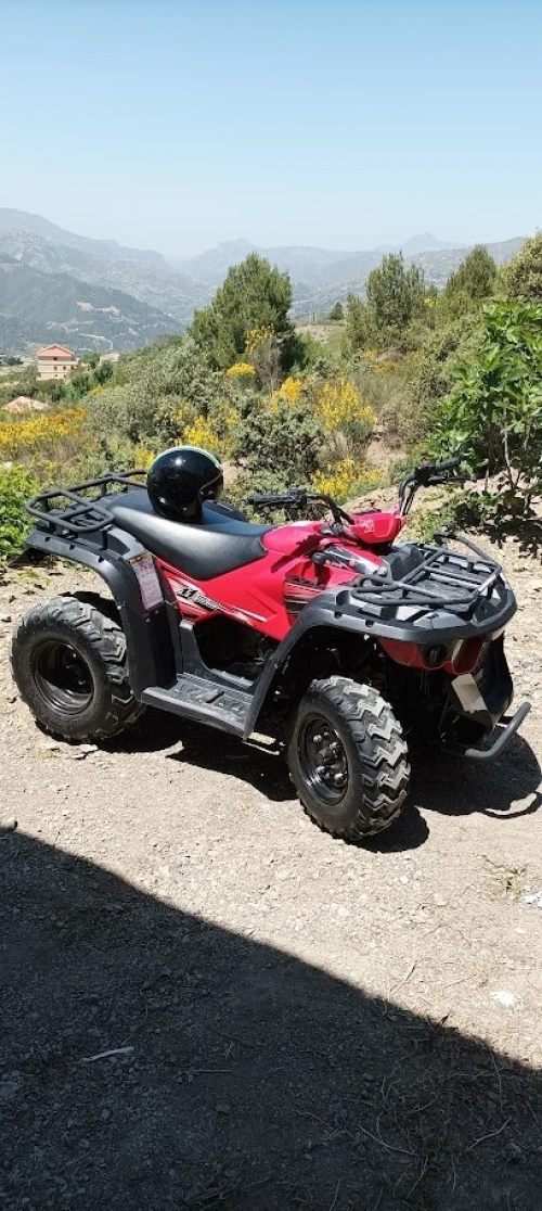 location quad 150 cm3 vms