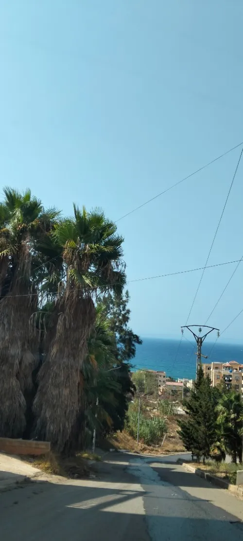Vente bien immobilier Alger Zeralda