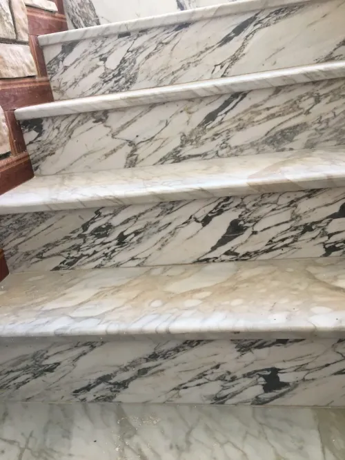 Location bien immobilier Alger Souidania