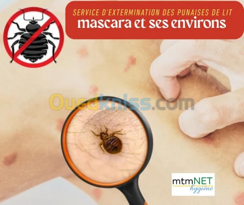 Éradication des punaises de lit à mascara 
