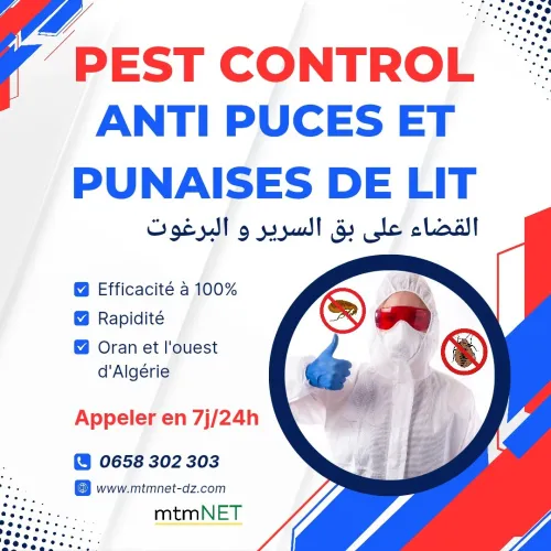 Entreprise de désinsectisation, dératisation, désinfection et dépigeonnage à oran