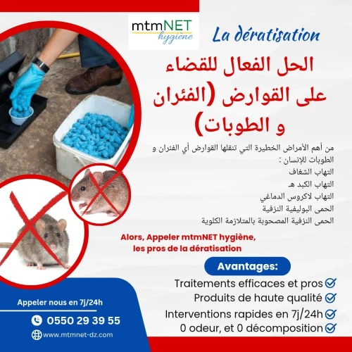 شركة مكافحة الحشرات الضارة و الفئران في سيدي بلعباس 