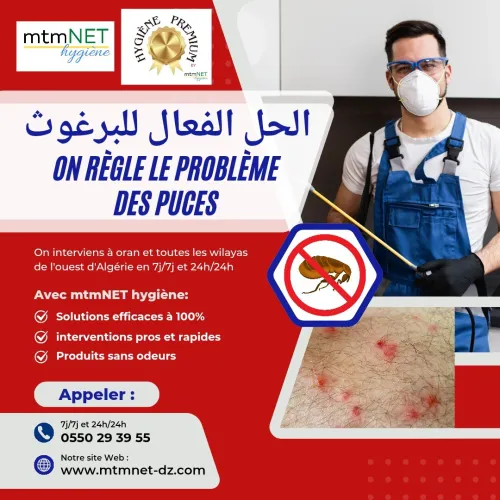 شركة مكافحة الحشرات الضارة و الفئران في تلمسان 