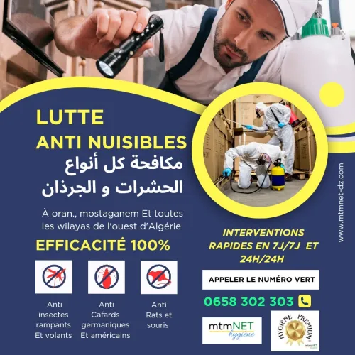 Entreprise de dératisation à ain témouchent 