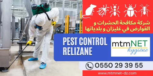 Entreprise de dératisation à relizane et ses environs 
