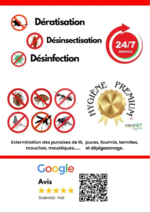 Extermination des Cafards à Mostaganem 